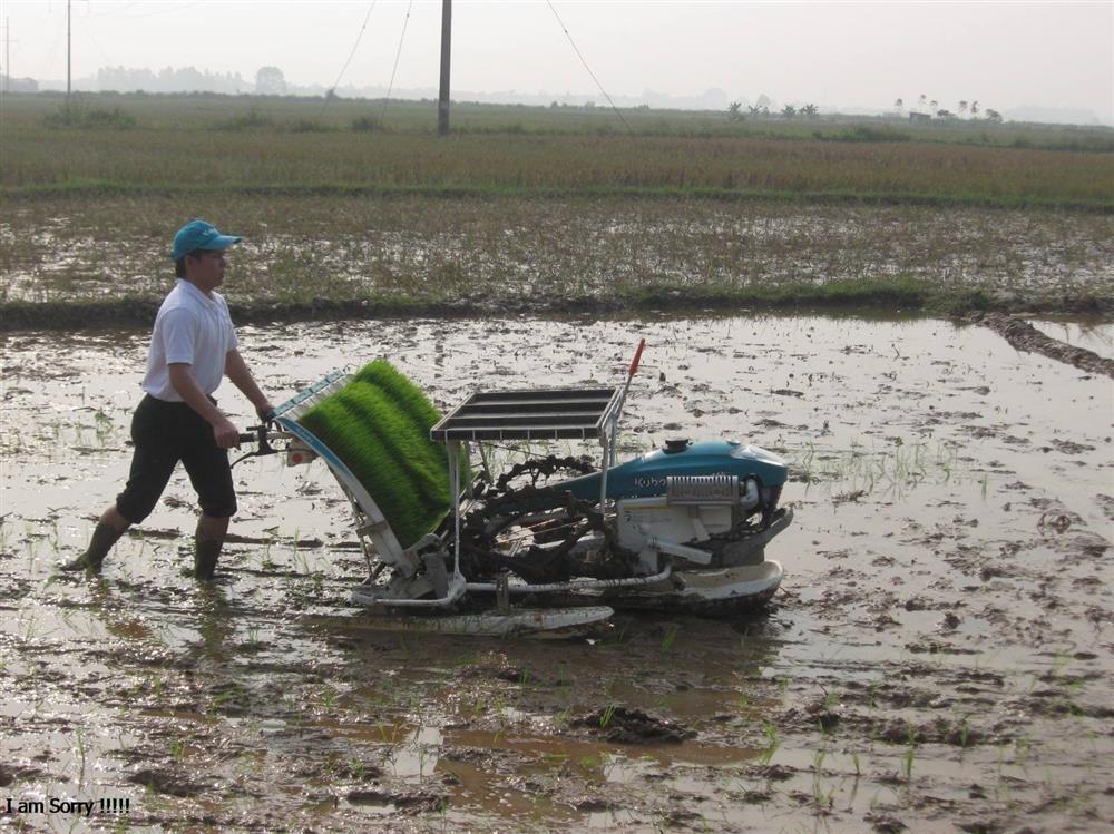 Hành động vì mục tiêu xóa nạn đói